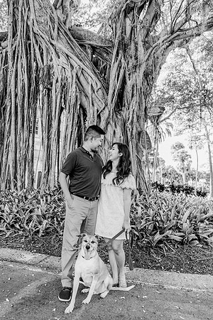 engagement preview-22
