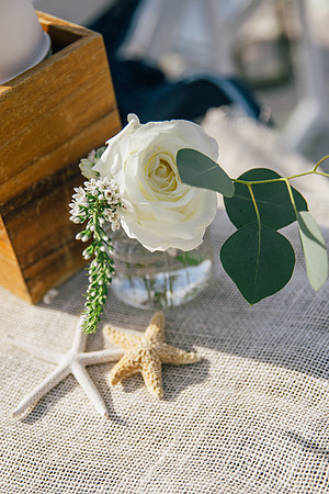 Wedding-487