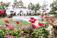 wedding-364