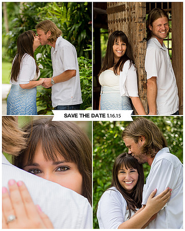 birdesignshop-blog collage-1