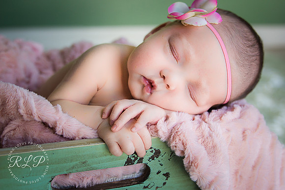 Newborn Photography