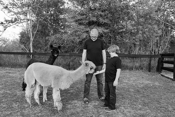 farmsession-97