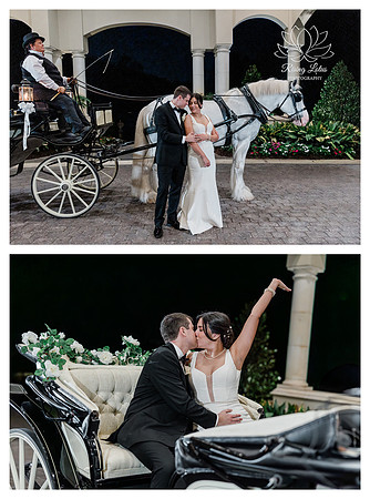 horse drawn Carriage wedding Golden Ocala