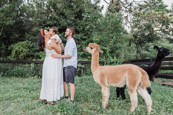 ALPACAMATERNITY-20