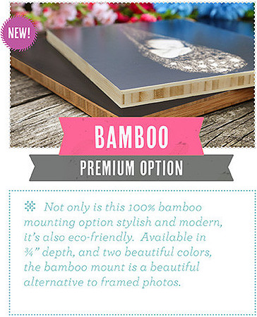 Bamboo