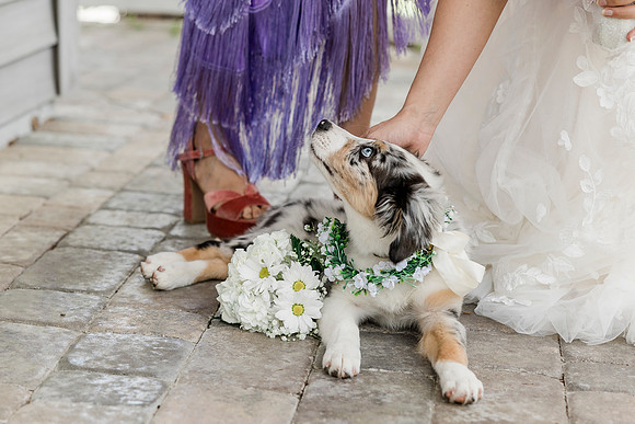 wedding-211