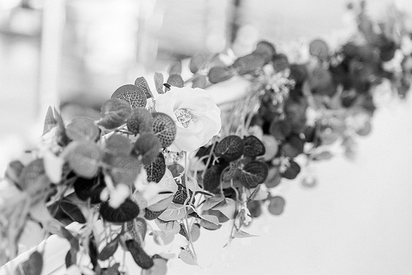 wedding-523