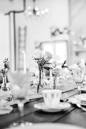 bridalshowerhighres-14