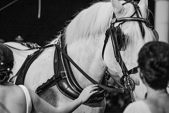 risinglotusphotographywedding-1337