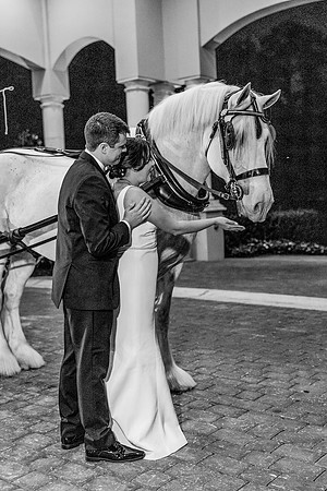 risinglotusphotographywedding-1365