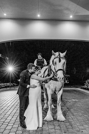 risinglotusphotographywedding-1370
