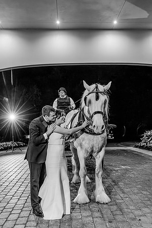 risinglotusphotographywedding-1372