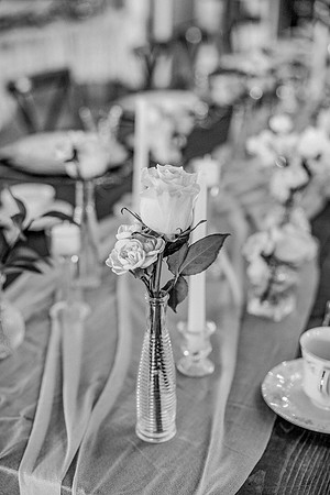 risinglotusphotographybridal shower-12