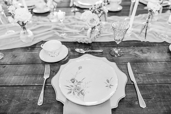 risinglotusphotographybridal shower-48