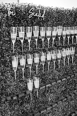 risinglotusphotographywedding-376