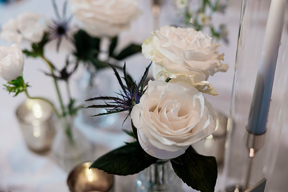 risinglotusphotographywedding-652