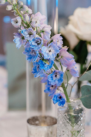 risinglotusphotographywedding-656