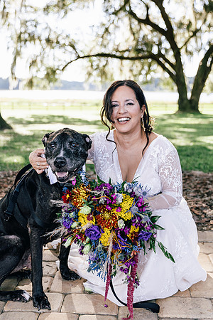 dogs in Weddingss, Ocala Engagement photographer