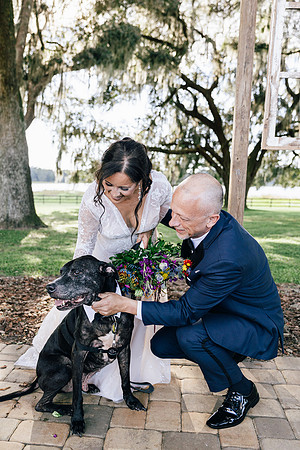 dogs in weddings, Ocala Engagement photographer