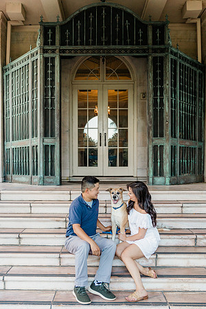 dogs in engagement sessions, Ocala Engagement photographer