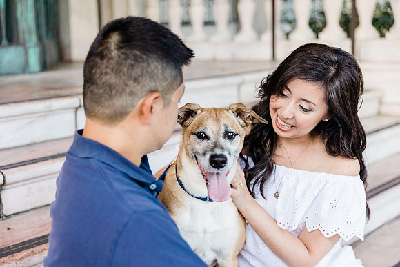 dogs in engagement sessions, Ocala Engagement photographer
