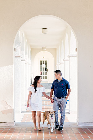 dogs in engagement sessions, Ocala Engagement photographer