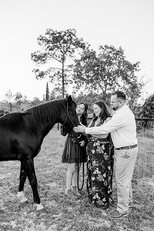 family-73