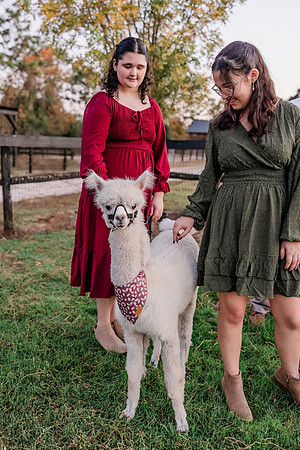 family-93