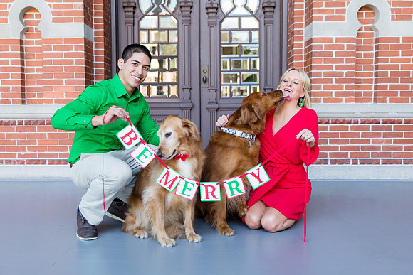 Dogs in weddings, Ocala wedding photographer