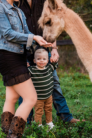 engagementrisinglotusphotography-34