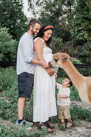 ALPACAMATERNITY-11