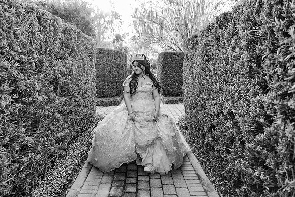 quince-203