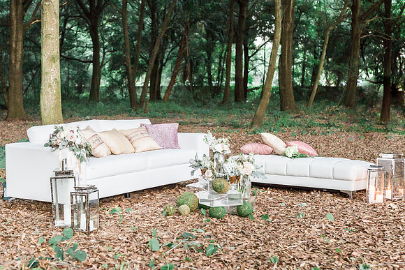 Woodland-128
