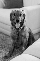 wedding-102