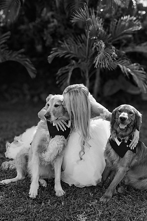 wedding-454
