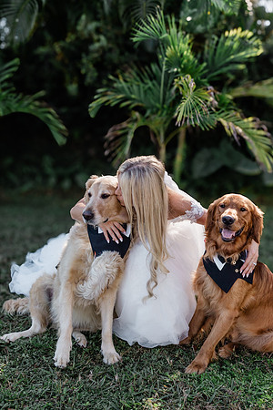 wedding-453