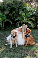fur babies