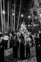 wedding-1253
