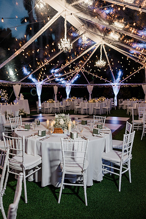 wedding-1194