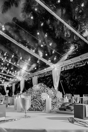 wedding-1196