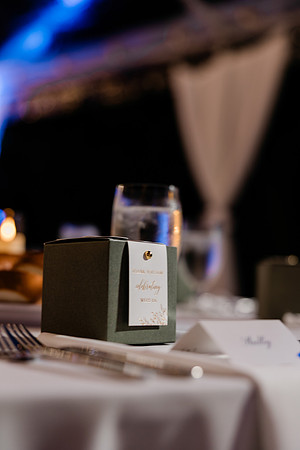 wedding-1199