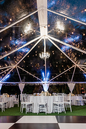 wedding-1206