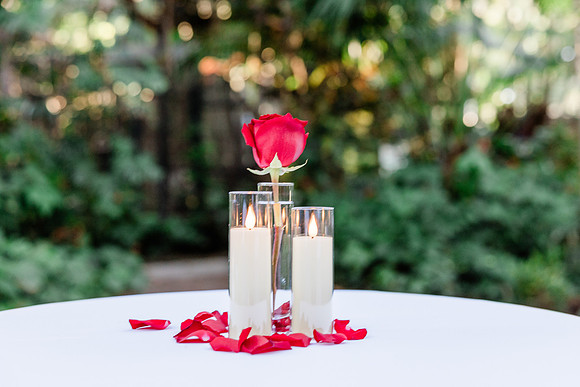 wedding-797