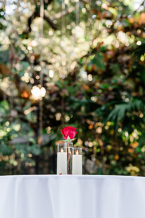 wedding-801