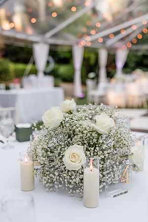 wedding-817