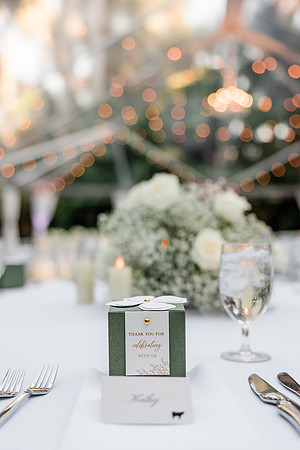 wedding-818