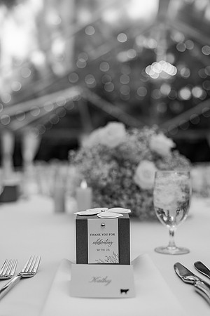 wedding-819