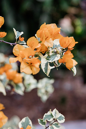 wedding-829