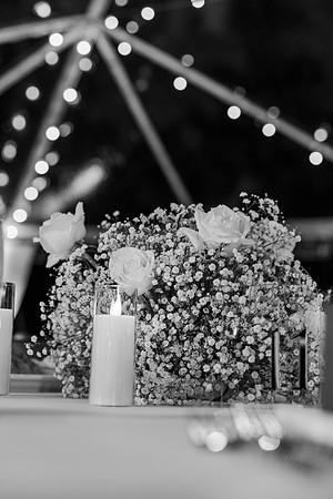 wedding-1219