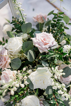 wedding-578